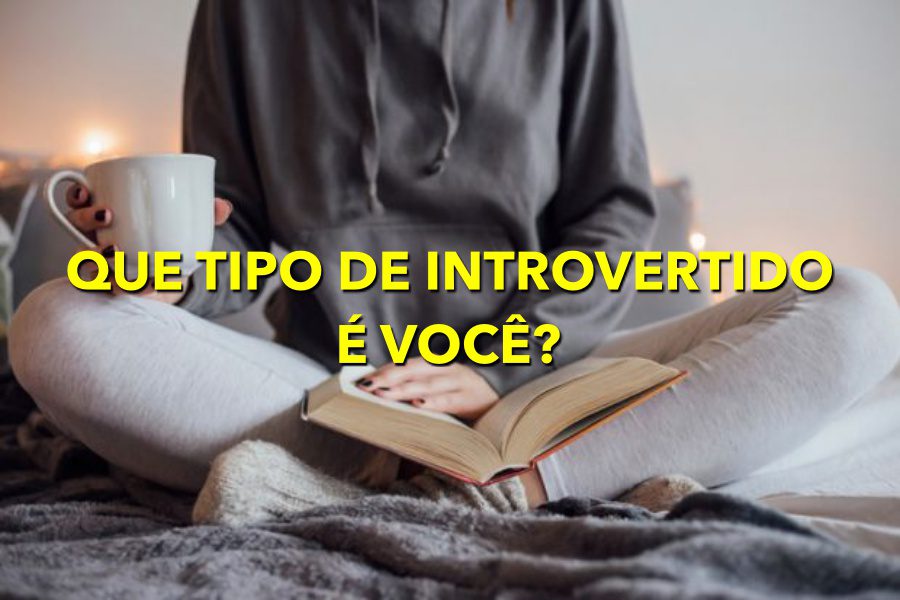 Aparentemente, existem 4 tipos de introversão - faça um teste e descubra qual é a sua